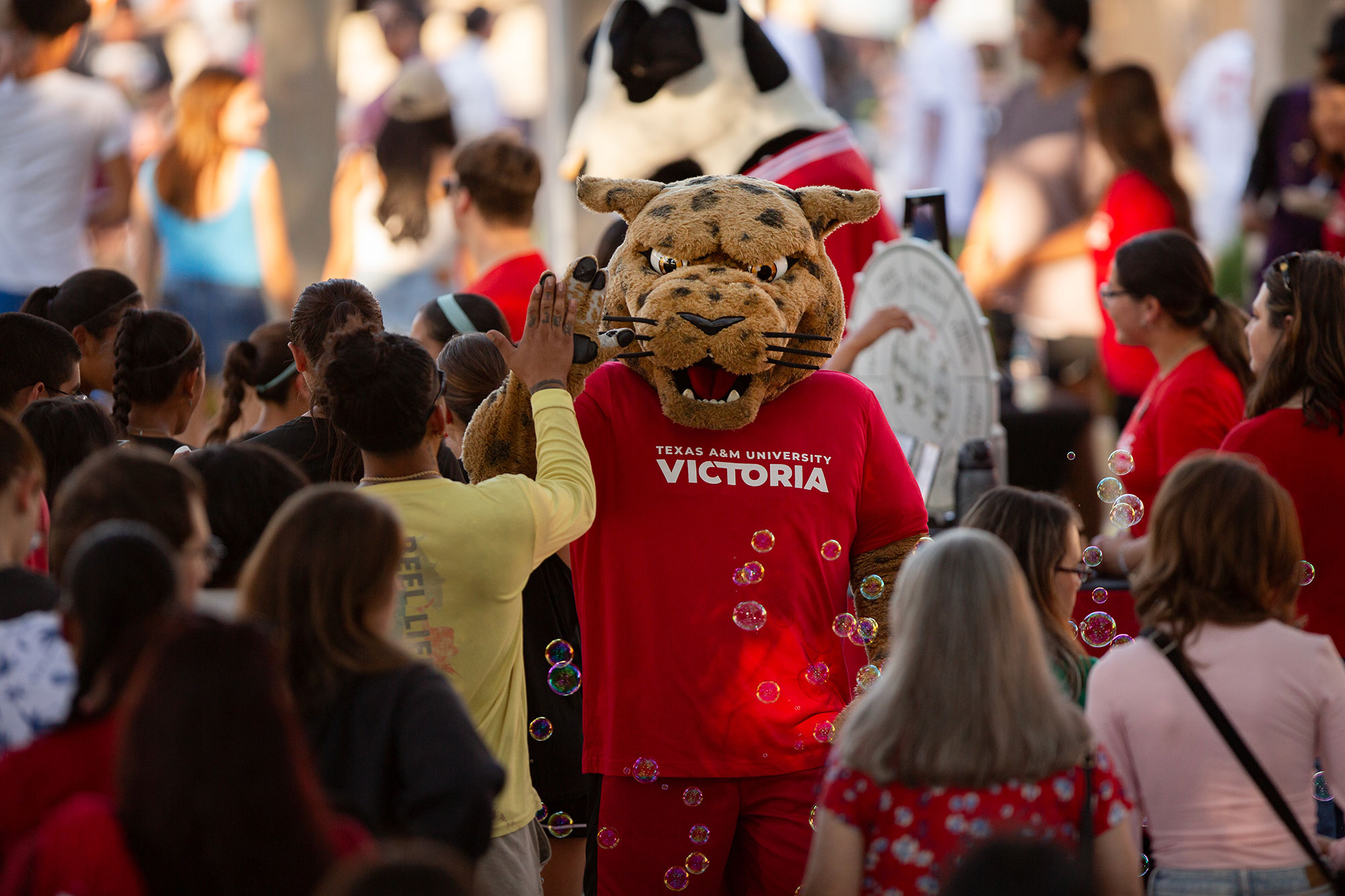 Jag Fest, Texas A&M-Victoria, event