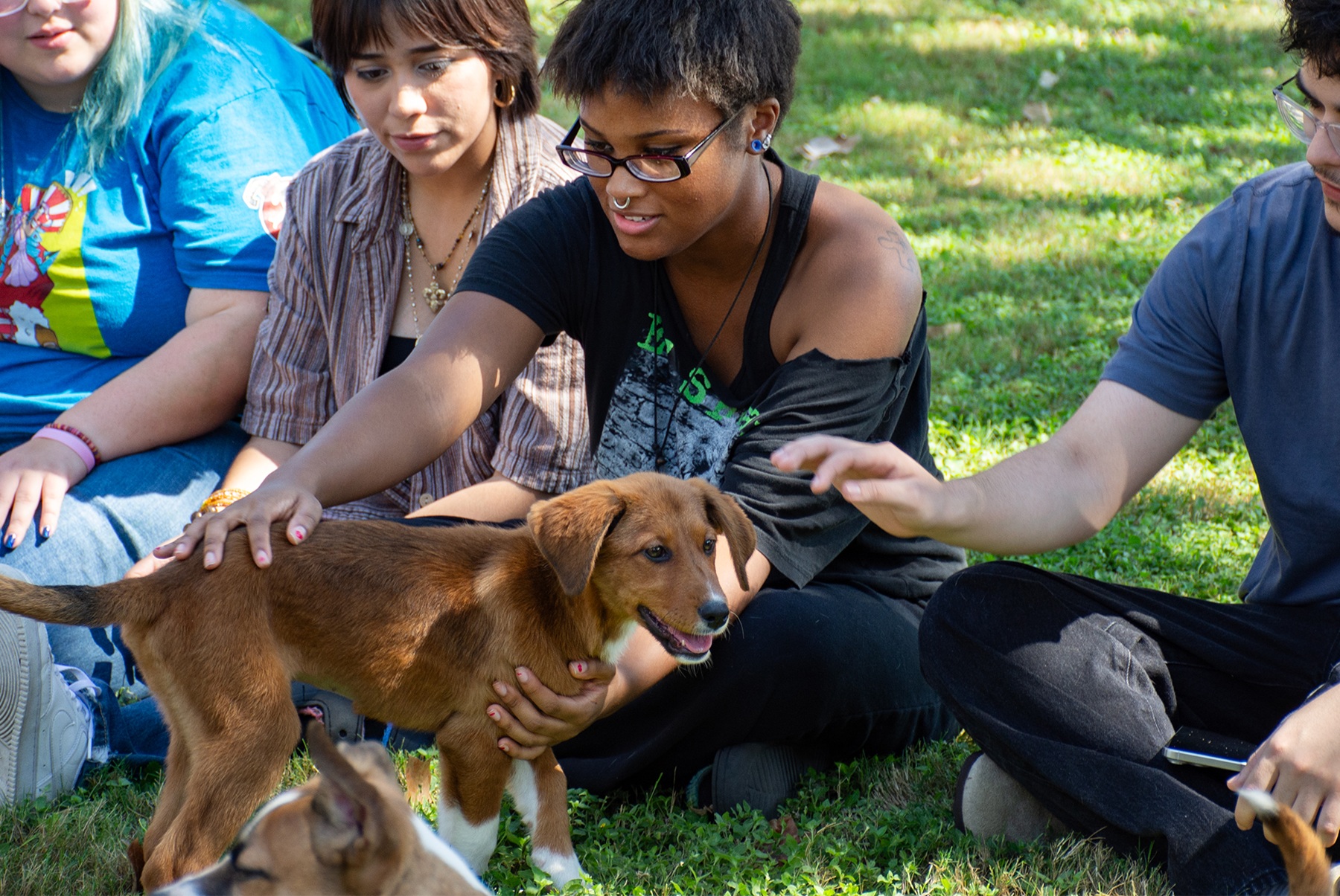 Paws and Relax event