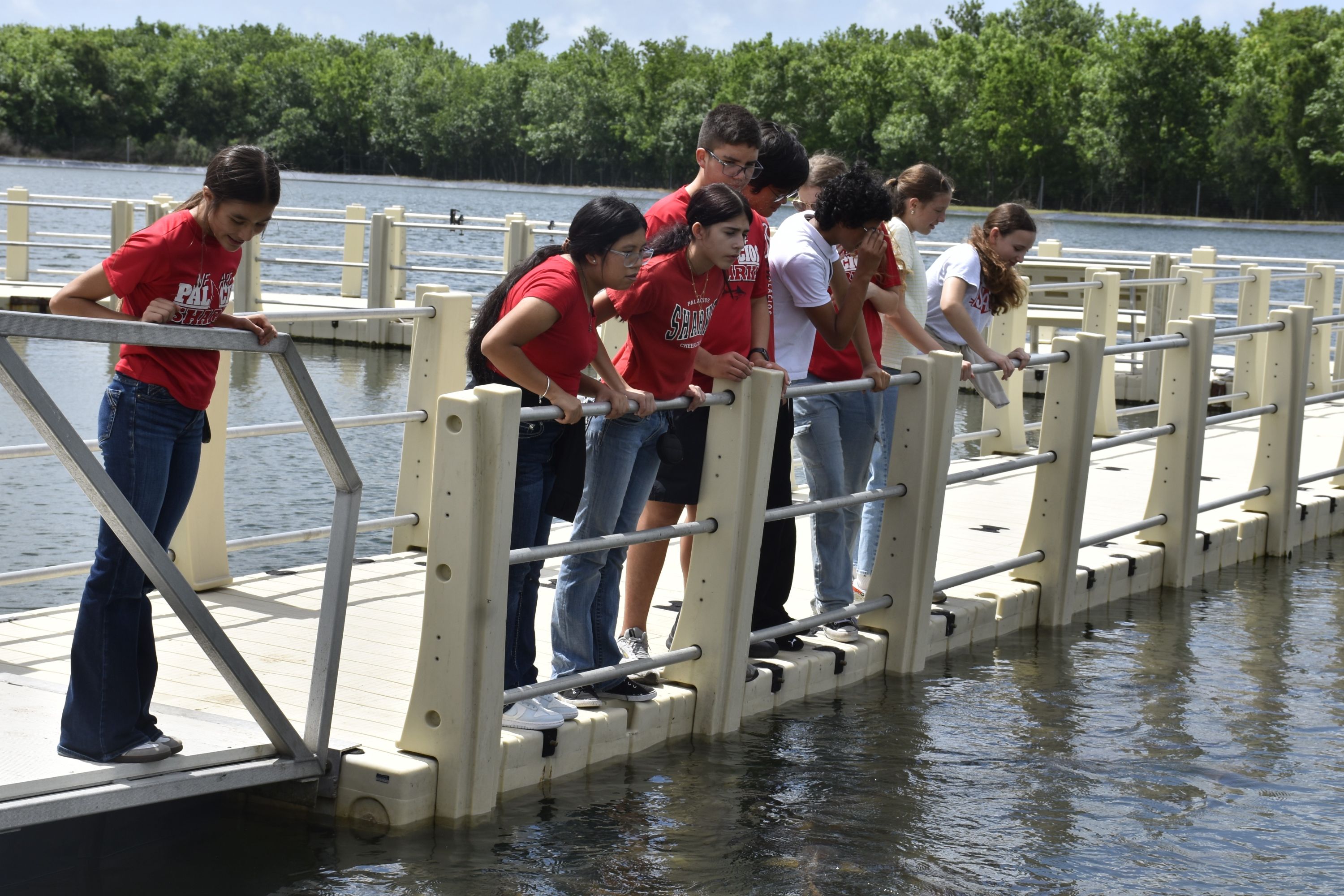Palacios eighth-grade students look over a railing into a hatchery pond.