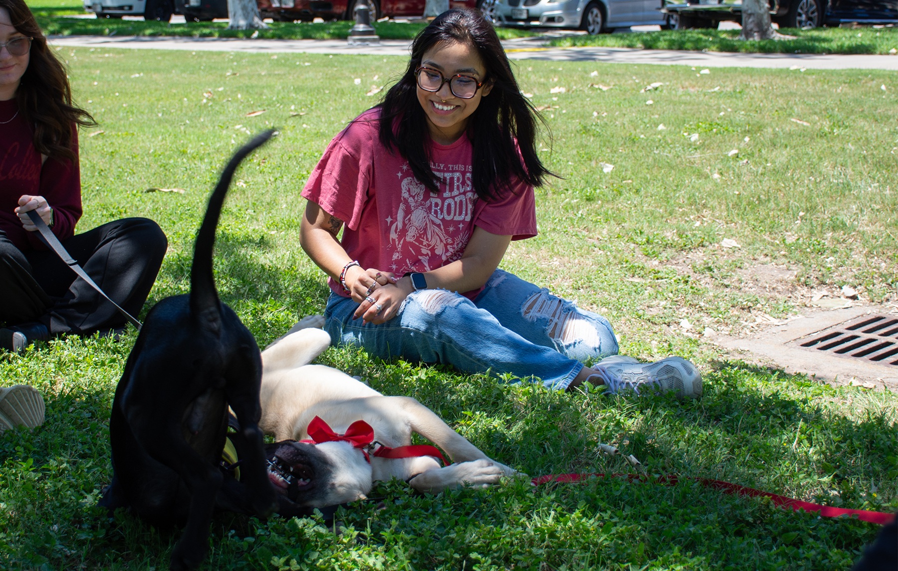 Paws for Finals event