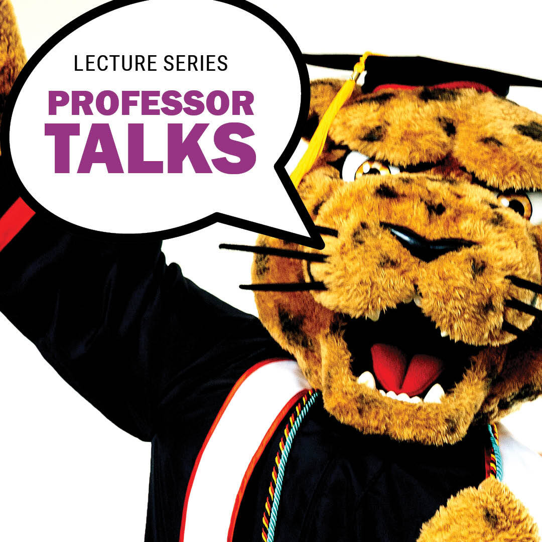 Professor Talks