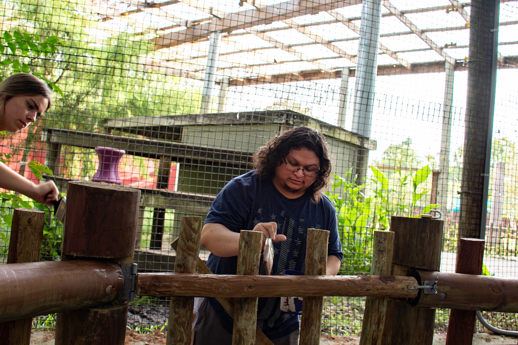 Volunteer at The Texas Zoo