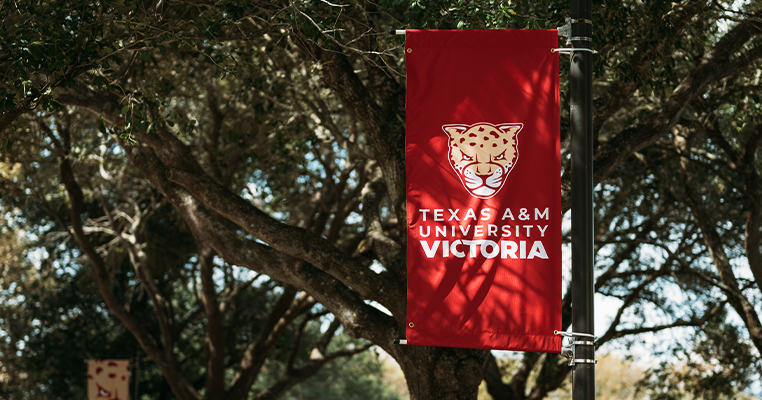 Texas A&M University-Victoria