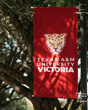 Texas A&M University-Victoria