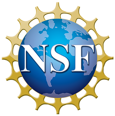 <img src="/media/tamuv/college-of-natural-and-applied-science/images/NSF_logo-400x.png" alt="nsf logo" style="width: 400px; height: 402px;     " />