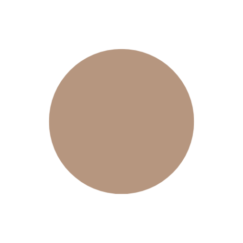 Drab, symbolizing the academic hood color for Master of Accountancy and Master of Business Administration degrees.