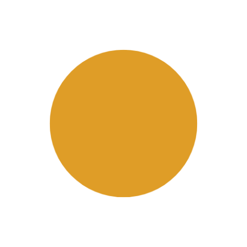 Gold, symbolizing the academic hood color for Master of Science degrees.