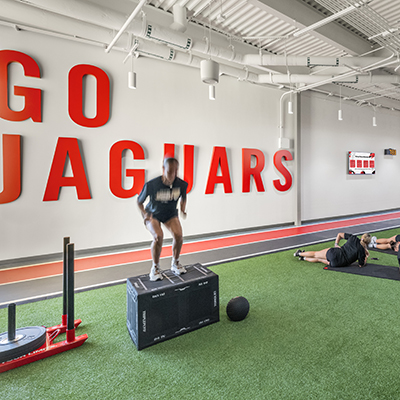 health-wellness-go-jaguar
