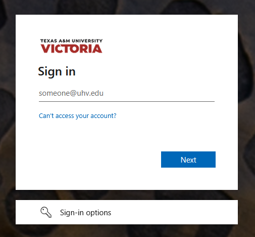 Screenshot of a the TAMUV Office SSO login screen